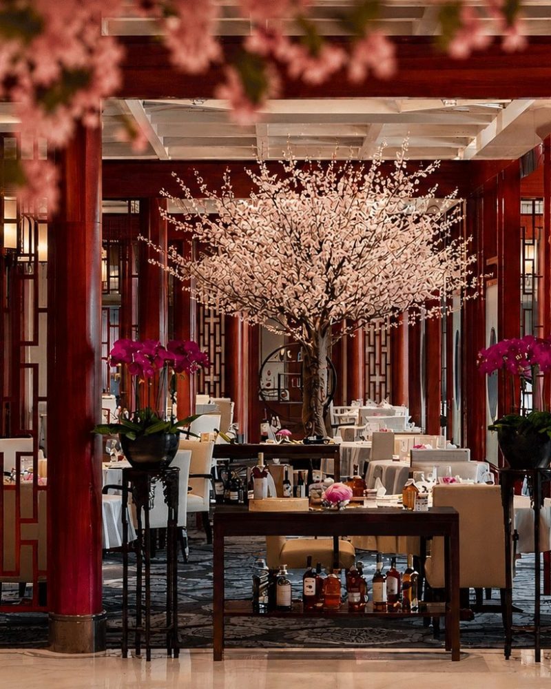 Peach Blossom